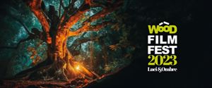Wood Film Fest: Seconda Edizione - “Luci&Ombre”