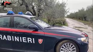 Carabinieri sorprendono a rubare in area rurale
