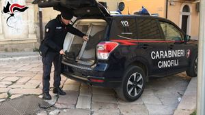 Carabinieri Torremaggiore 1 arresto per droga e controlli davanti alle scuole