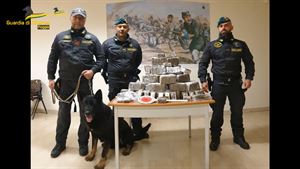 Guardia di Finanza scopre traffico di droga a Manfredonia
